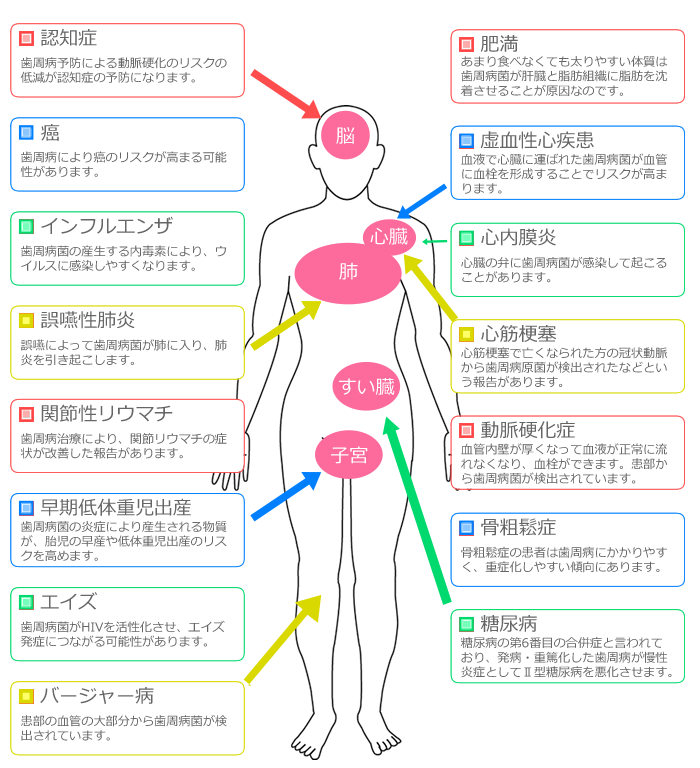 歯周病と全身疾患